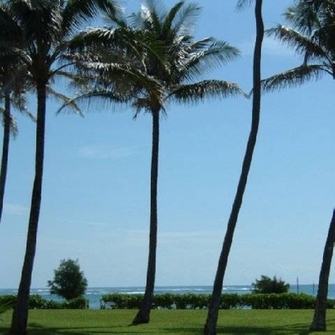 Fairway Villas Honolulu Esterno foto