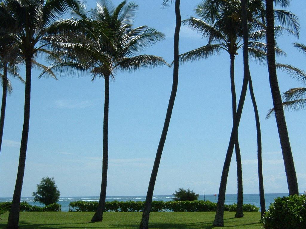 Fairway Villas Honolulu Esterno foto